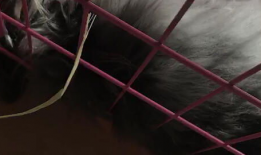 吓死人的视频,揭秘吓死人的视频背后的惊悚真相